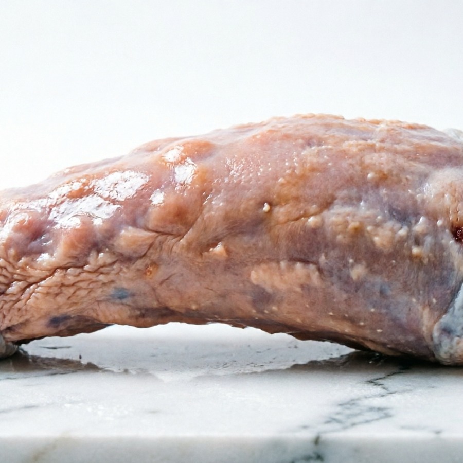 TURKEY NECK